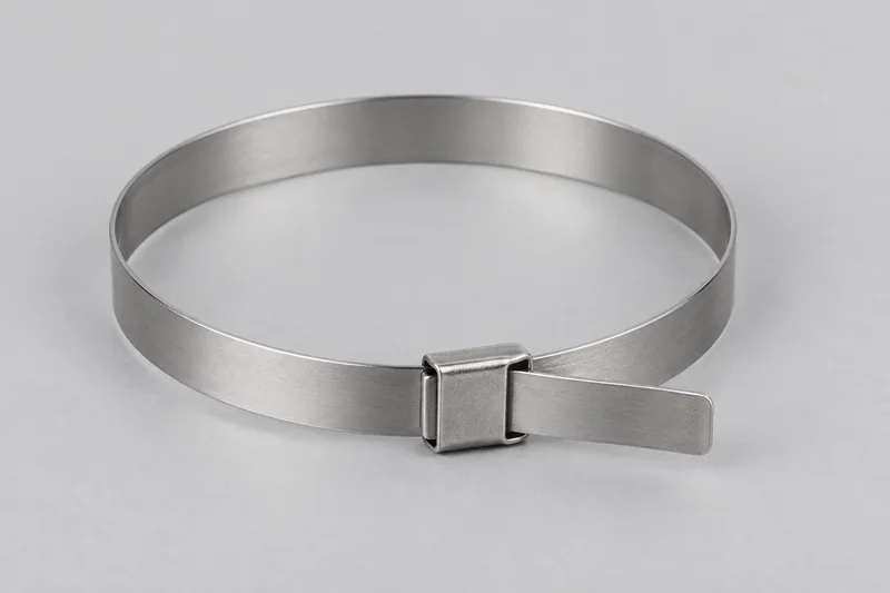 AI-generated generic metal band-and-buckle strap clamp appearance reference